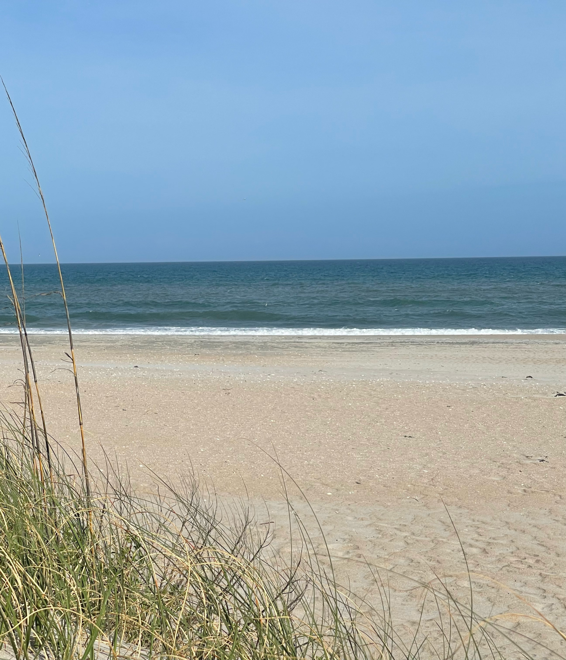 Beaches & Gulf Coast